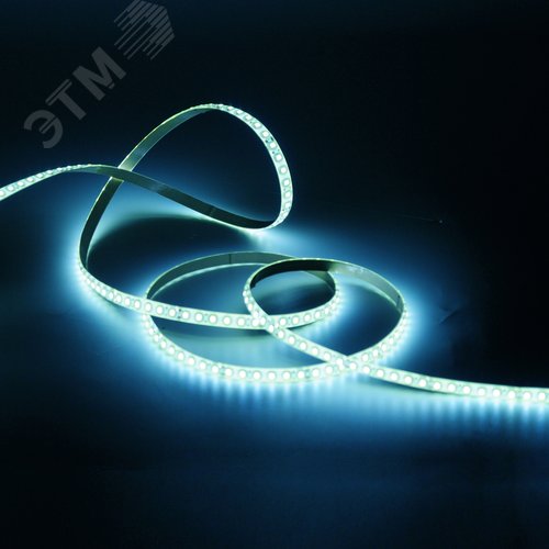 Лента светодиодная LED 6.5 Вт/м 2835-SMD 24 В DC 5000K холодный белый IP65 (блистер 5м) Black Gauss (311000265) - фото 2