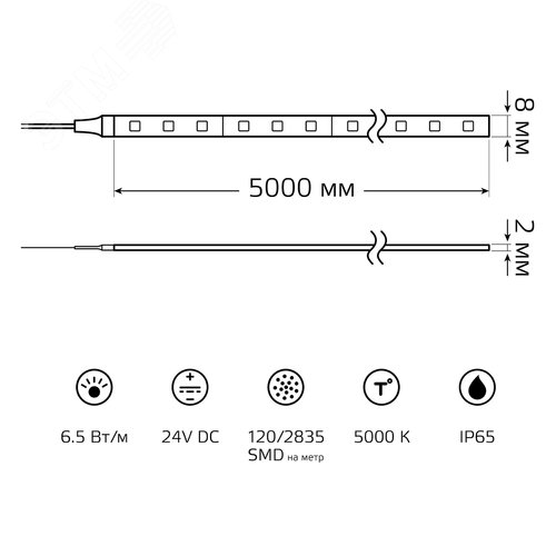 Лента светодиодная LED 6.5 Вт/м 2835-SMD 24 В DC 5000K холодный белый IP65 (блистер 5м) Black Gauss (311000265) - фото 5