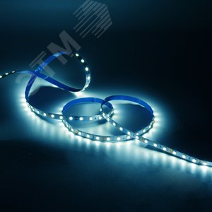 Лента светодиодная LED 4,8 Вт/м 2835-SMD 12 В DC 6500K холодный белый IP20 (блистер 3м) Black Gauss (312000248) - фото 4