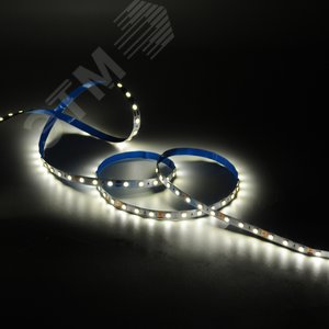 Лента светодиодная LED 4,8 Вт/м 2835-SMD 12 В DC 3000K теплый белый IP20 (блистер 5м) Black Gauss (312400148) - фото 4