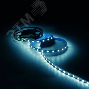 Лента светодиодная LED 4,8 Вт/м 2835-SMD 12 В DC 6500K холодный белый IP20 (блистер 5м) Black Gauss (312400248) - фото 5