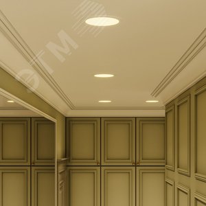 Светильник светодиодный ДВО 15 Вт 990 лм 3000К AC 220В IP20 круг D170х22мм монт d155мм Алюминий тонкий Slim 5