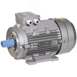 Электродвигатель трехфазный АИС 90L4 380В 1,5кВт 1500об/мин 2181
