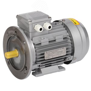 Электродвигатель трехфазный АИР 63B6 380В 0,25кВт 1000об/мин 2081 DRIVE