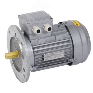Электродвигатель трехфазный АИР 71B4 380В 0.75кВт 1500об/мин 3081 DRIVE (DRV071-B4-000-7-1530) - ONI