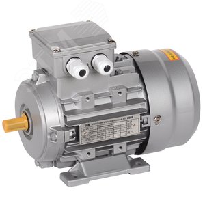 Электродвигатель трехфазный АИС 56А4 380В 0,06кВт 1500об/мин 1081 DRIVE