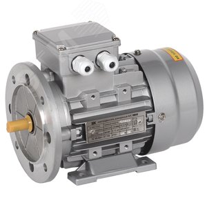 Электродвигатель трехфазный АИС 56B4 380В 0,09кВт 1500об/мин 2081 DRIVE