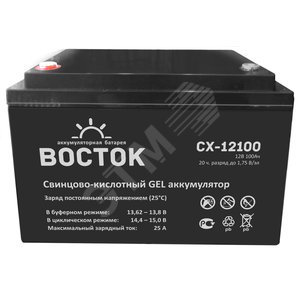 Аккумулятор CK 12В 100Ач (СК 12100) - Восток (аккумуляторы)