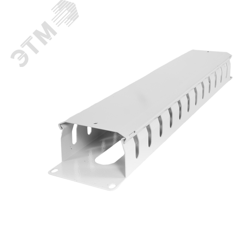 Органайзер кабельный горизонтальный 19' 2U с крышкой 2