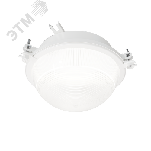 Светильник светодиодный потолочный ДПП03-13-001 LED 865