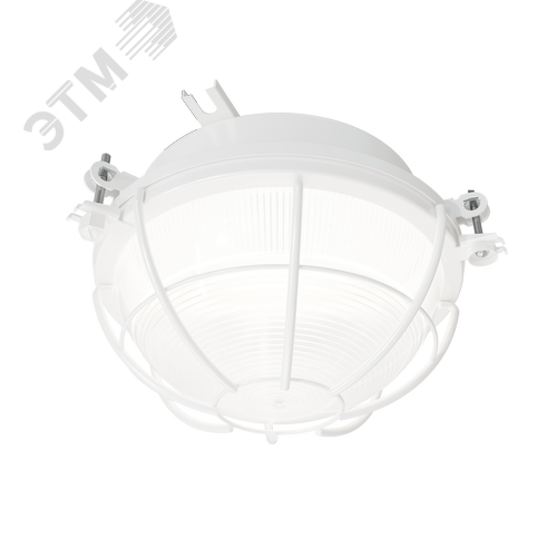 Светильник светодиодный потолочный ДПП03-13-003 LED 865