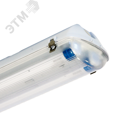 Светильник светодиодный промышленный ДСП44-2х22-002 Flagman LED 865