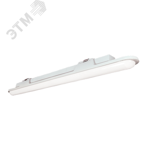 Светильник светодиодный промышленный аварийный ДСП51-30-045 Leader EM1 840