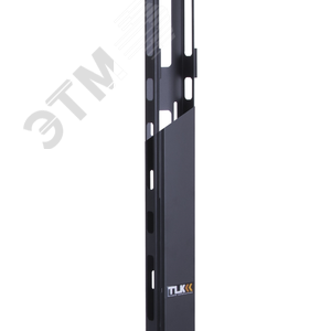 Органайзер кабельный верт 42U TLK-OV650C-2-42U-BK - TLK