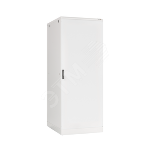 Напольный шкаф 42U TFL-428010-MMMM-GY - TLK
