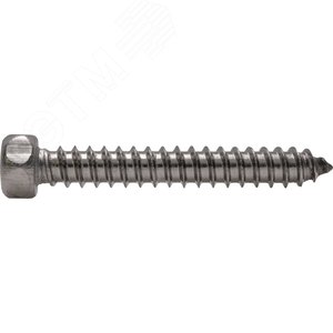 Саморез с шестигранной головкой DIN 7976  5,5x50 A2 - КМП