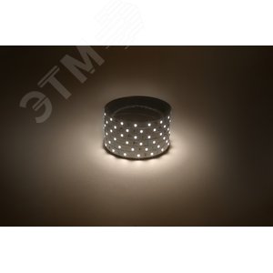 Лента светодиодная 4,8Вт/м 12В 3000К IP20 60LED/м LS2835-60LED-IP20-WW-eco-5m 3