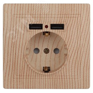 1-410-11 Розетка+USB, IP20, СУ,Plano, сосна (10/100/2500) | Б0043252 | Intro - ЭРА (Энергия света)
