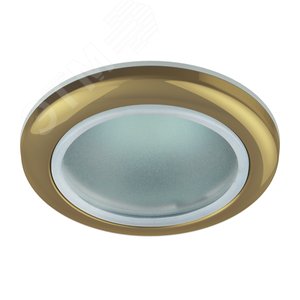WR1 GD Светильник влагозащищенный MR16,12V220V, 50W золото (100/2000) ЭРА (C0043846) - ЭРА (Энергия света)