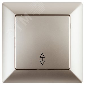 4-103-04 Переключатель, 10А-250В, СУ, Solo, шампань (10/200/2400) | Б0043280 | Intro - ЭРА (Энергия света)
