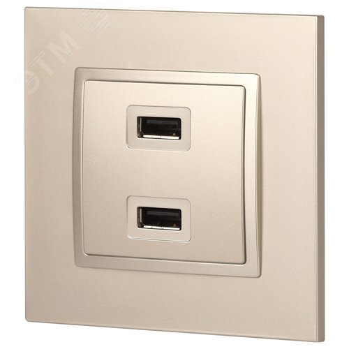 Устройство зарядное USB, 5В-2100мА, Эра Elegance, шампань, 14-4110-04 5