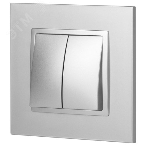 Выключатель двухклавишный, в рамку (скрытого монтажа) алюминий 10А 250В автоматические (безвинтовые) зажимы ЭРА Elegance 14-1104-03 4