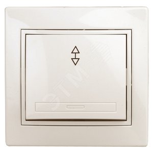 Переключатель, 10А-250В, СУ, Plano, сл.кость,1-103-02 (Б0027600) - ЭРА (Энергия света)