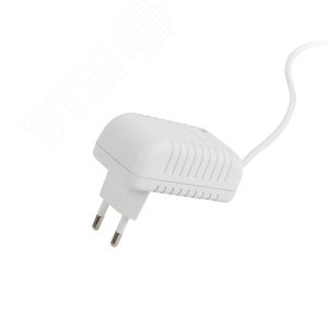 Светильник настольный светодиодный белый NLED-462-10W-W 6