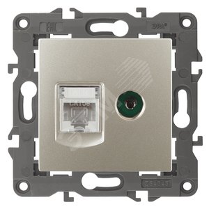 Розетка RJ45+TV, Эра Elegance, шампань, 14-3110-04 - ЭРА (Энергия света)