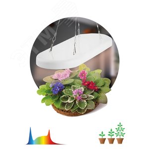 Светильник для растений FITO-25W-QLED-FLY подвесной полного спектра 25 Вт - фото 2