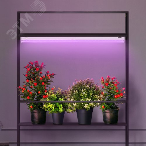 Линейные фитосветильники белый спектр ЭРА LLED-05-T5-FITO-18W-W | Б0028201 | ЭРА 10