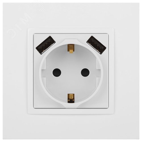 Розетка 2P+E 16A-250В, штор. с 2xUSB 5В-3А, Эра Elegance, белый 14-4109-01 - фото 2