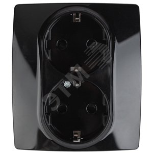 Розетка однофазная двойная скрытого монтажа, в рамку с заземлением со шторками черный 16А 250В IP20 автоматические (безвинтовые) зажимы 12-2104-06 Эра 12