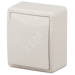 Выключатель одноклавишный наружный (открытой установки) с подсветкой IP20 слоновая кость 10А 250В винтовые зажимы ЭРА Эксперт 11-1202-02