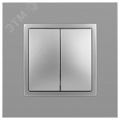 Выключатель двухклавишный, в рамку (скрытого монтажа) алюминий 10А 250В автоматические (безвинтовые) зажимы ЭРА Elegance 14-1104-03 2