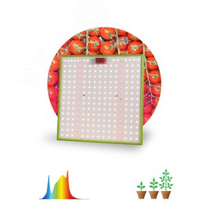 Фитопрожектор для растений светодиодный FITO-80W-LED-QB Quantum board - ЭРА (Энергия света)