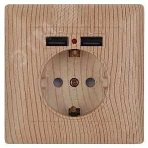 4-410-11 Розетка P+E Schuko со шторками, 16А-250В + 2хUSB, СУ, Solo, сосна (10/100/2000) | Б0043409 | Intro - ЭРА (Энергия света)