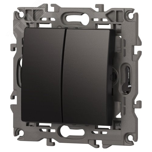 Выключатель двухклавишный, в рамку (скрытого монтажа) антрацит 10А 250В автоматические (безвинтовые) зажимы ЭРА Elegance 14-1104-05 5