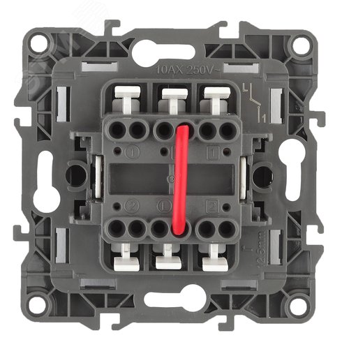 Выключатель двухклавишный скрытого монтажа алюминий 10А 250В автоматические (безвинтовые) ЭРА 12 12-1004-03 2