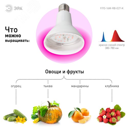 Лампа светодиодная лампа для рассады тип А60,FITO-16W-RB-E27-K 16 Вт, 220-240V - фото 11