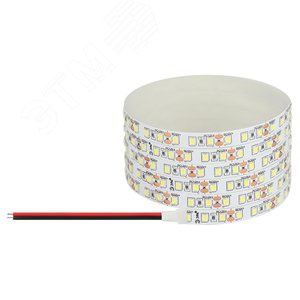 Лента светодиодная 9,6Вт/м 12В 6500К IP20 120LED/м LS2835-120LED-IP20-W-eco-5m - ЭРА (Энергия света)