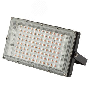 Фитопрожектор для растений светодиодный FITO-80W-RB-LED-Y красно-синего спектра - ЭРА (Энергия света)