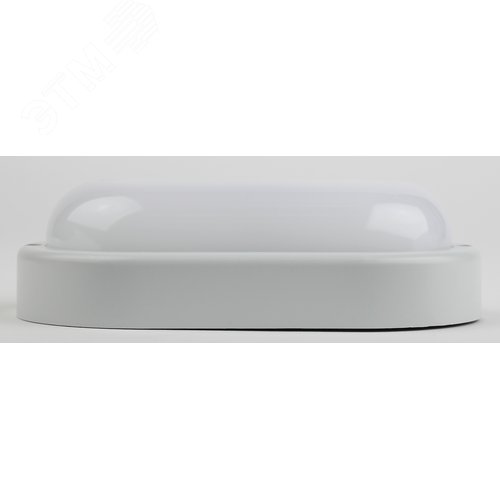 Светильник светодиодный SPB-202-0-65K-008 IP65 8 Вт 6500К овал 40/960 4