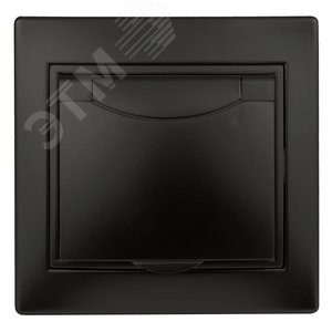 1-203-05 Розетка 2P+E Schuko с крышкой, 16А-250В, IP20, СУ, Plano, антрацит (10/100/3000) | Б0044568 | Intro - ЭРА (Энергия света)