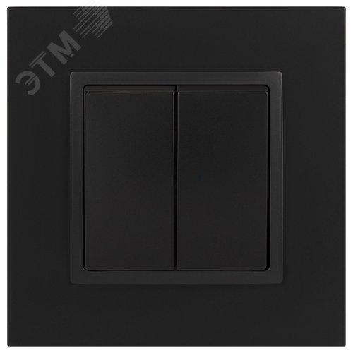 Выключатель двухклавишный, в рамку (скрытого монтажа) антрацит 10А 250В автоматические (безвинтовые) зажимы ЭРА Elegance 14-1104-05 3