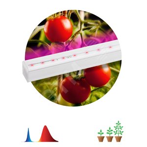 Светильник линейный красно-синего спектра FITO-14W-Т5-N 30/840 - ЭРА (Энергия света)
