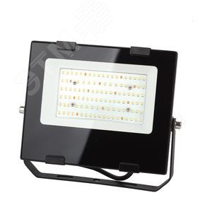 Прожектор светодиодный для цветения и плодоношения FITO-50W-Ra90-LED 10/300 - ЭРА (Энергия света)
