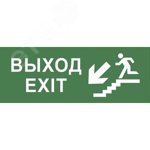 Этикетка самоклеющаяся 200х60 мм Выход/лестница вниз/фигура DPA/DBA INFO-DBA-013 - ЭРА (Энергия света)