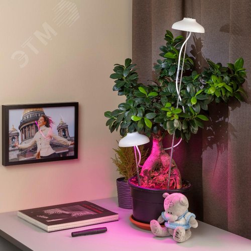 Светильник для цветочных горшков FITO-12W-FLED 11