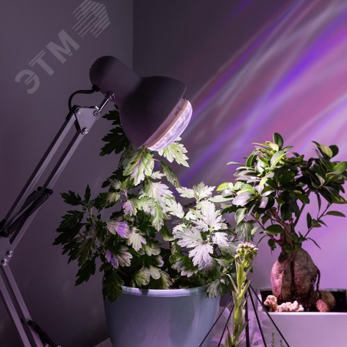 Лампа светодиодная лампа для растений тип BR30,15 Вт, 220-240V FITO-15W-Ra90-E27 6